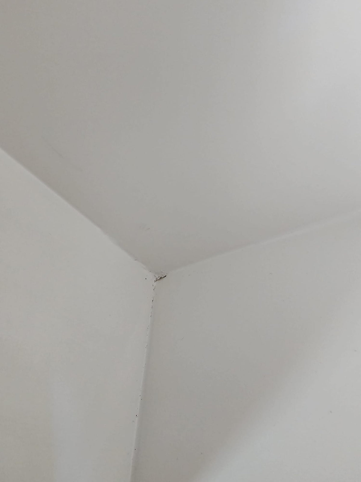 OUTLET 44 - Kosmetikos registratūra Averne LED – 180cm registratūros stalas salonui - Balta